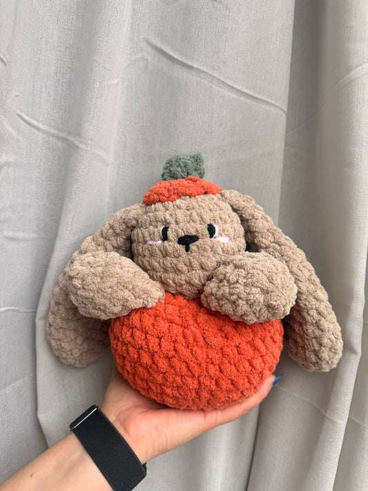 Pumpkin Bunny