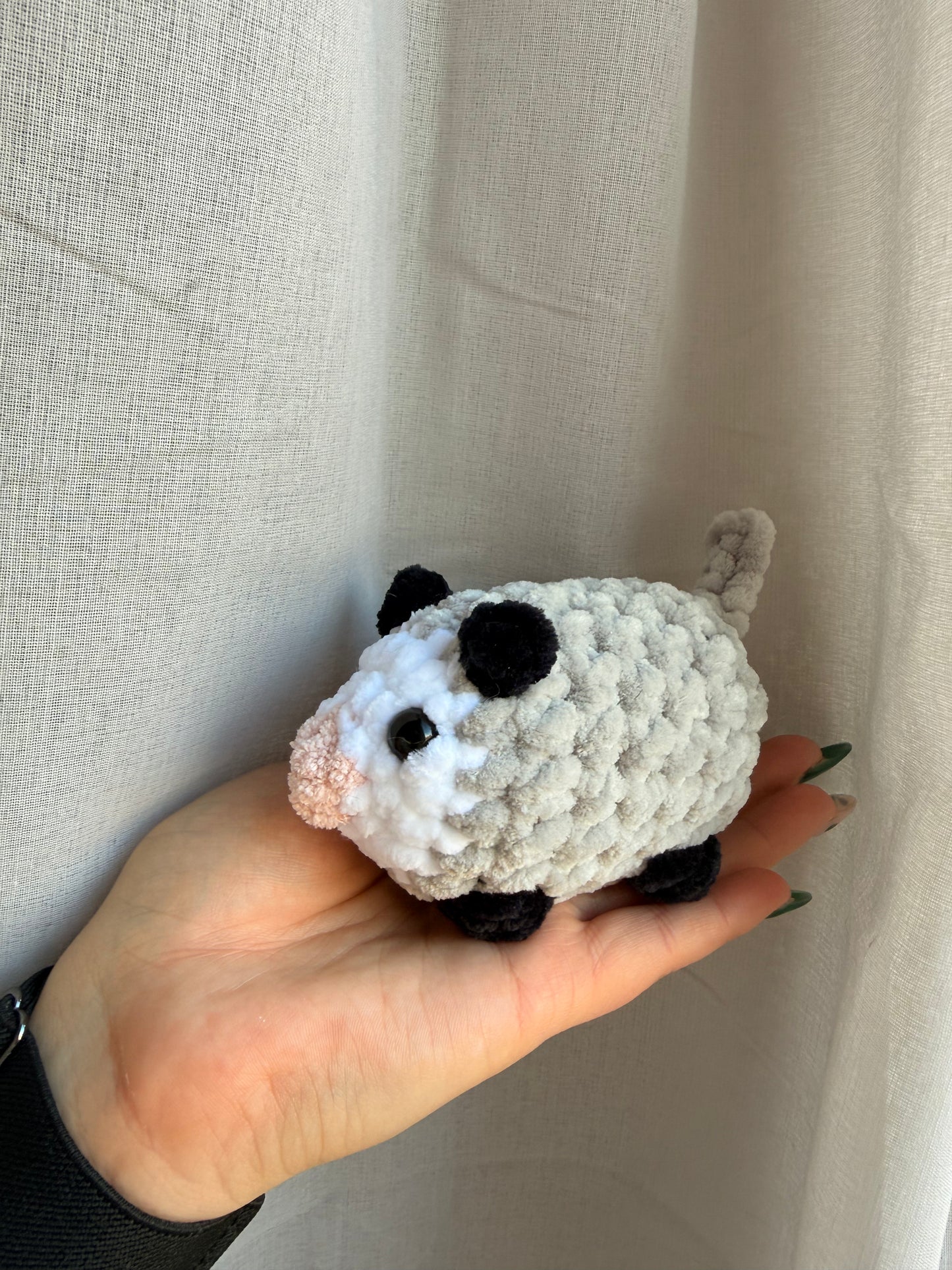 Opossum