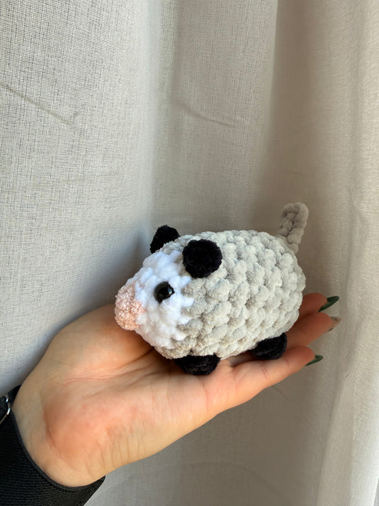 Opossum