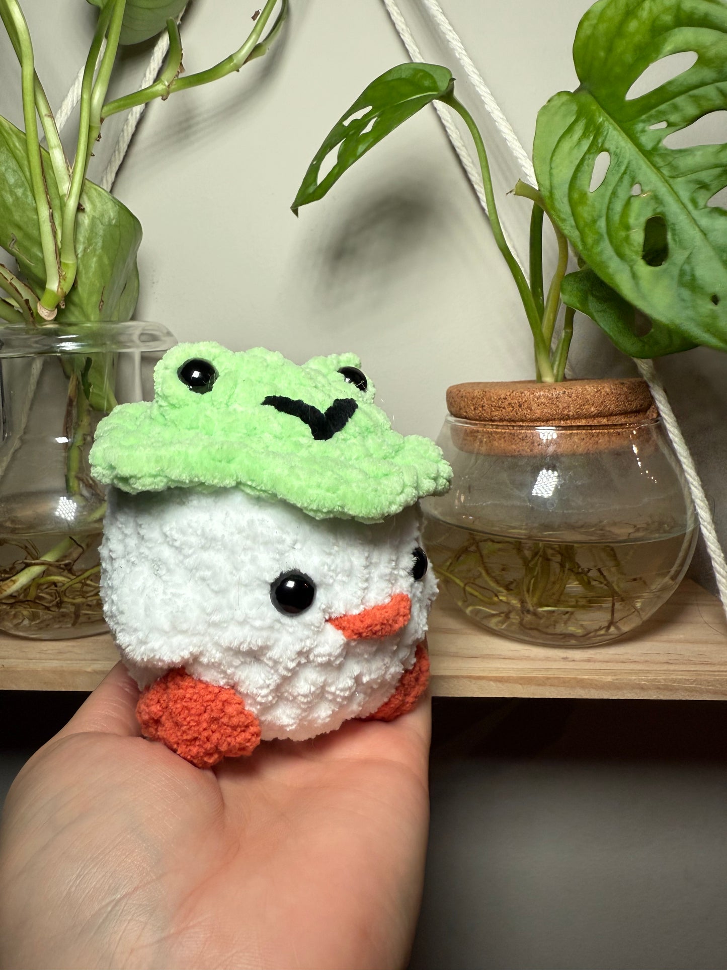 Chicks with Frog Hat