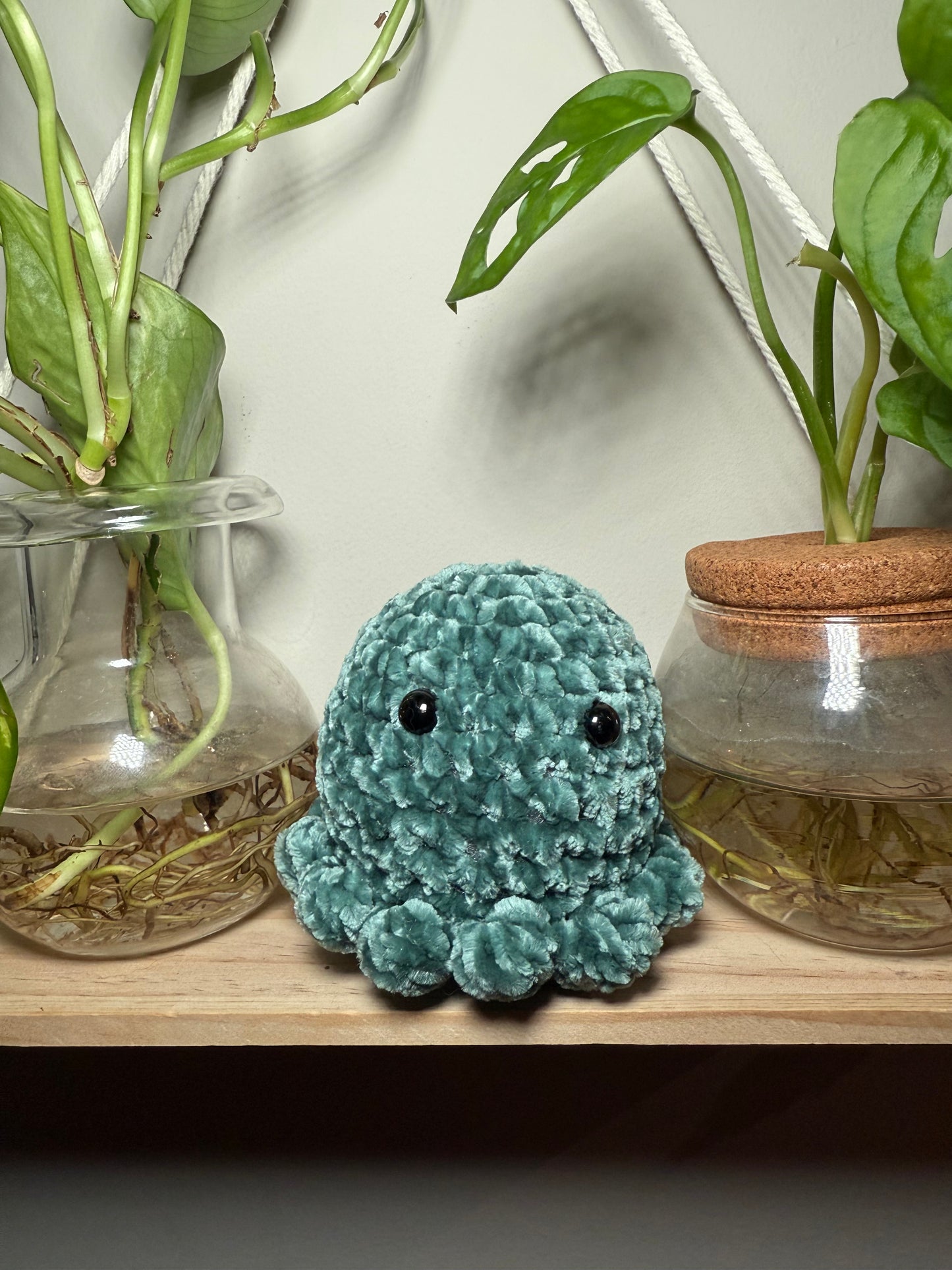 Octo