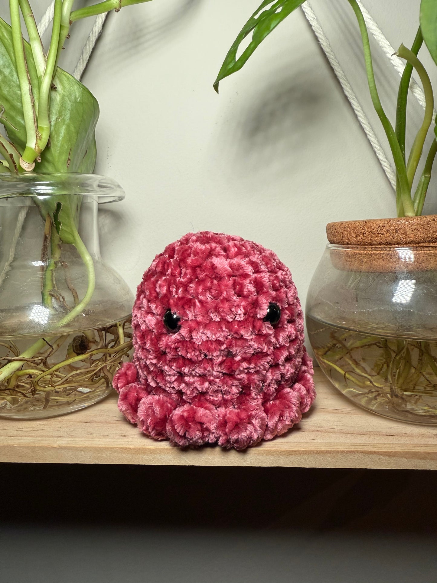 Octo