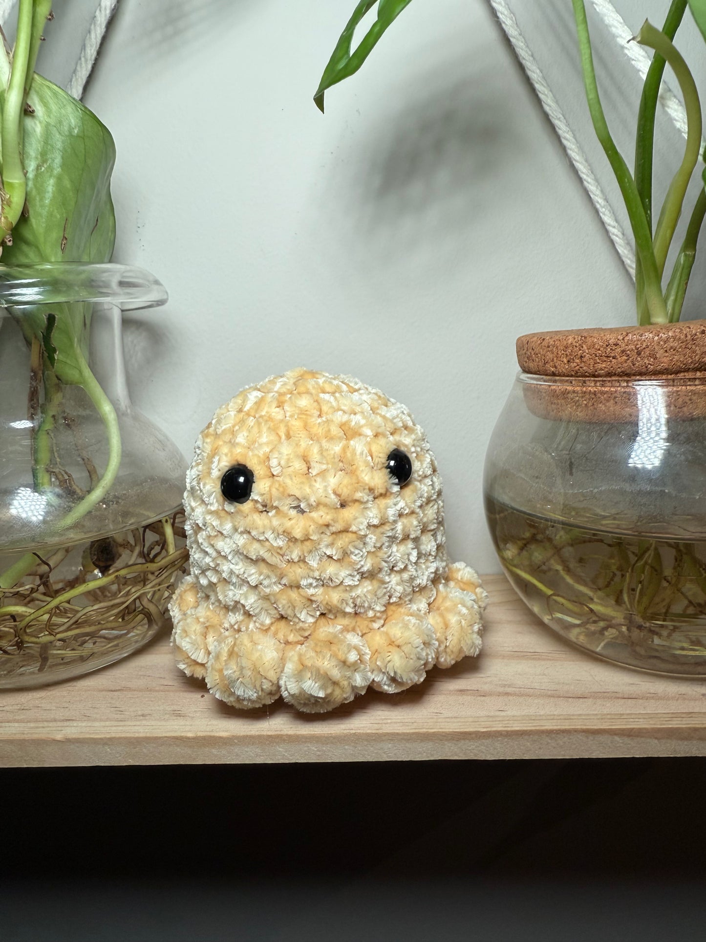 Octo