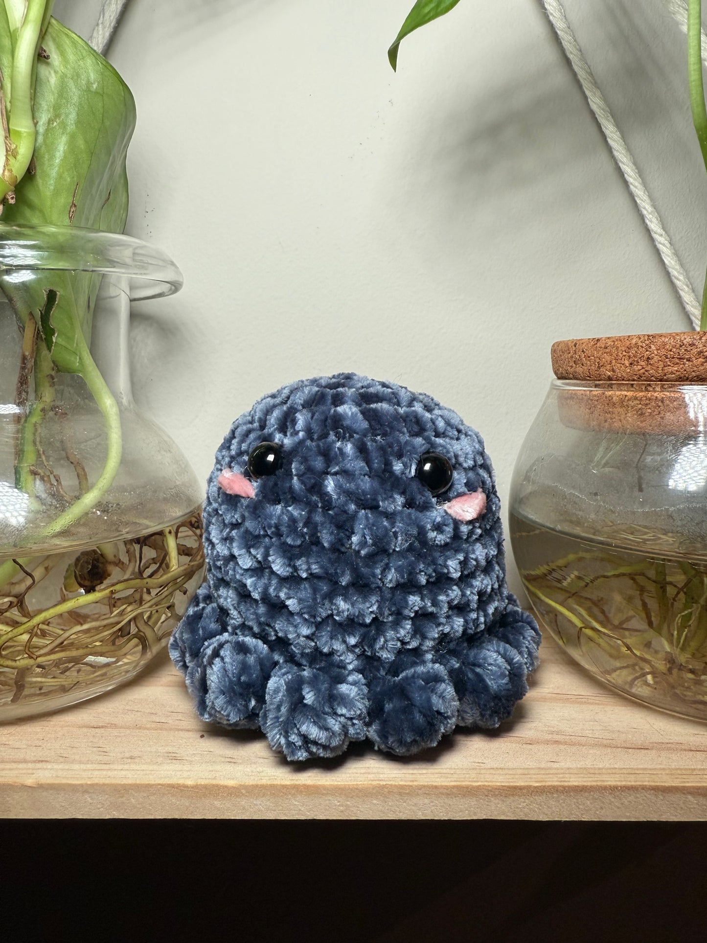 Octo