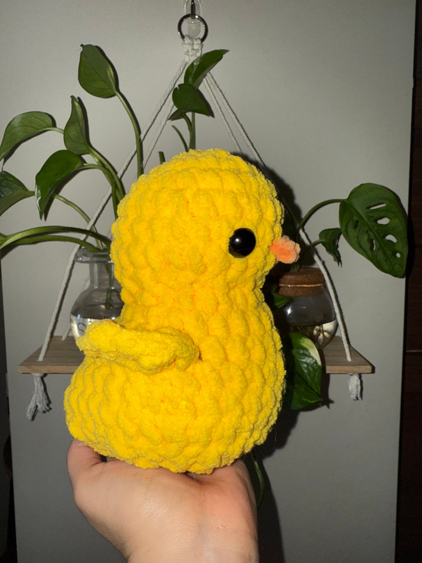 Duckies