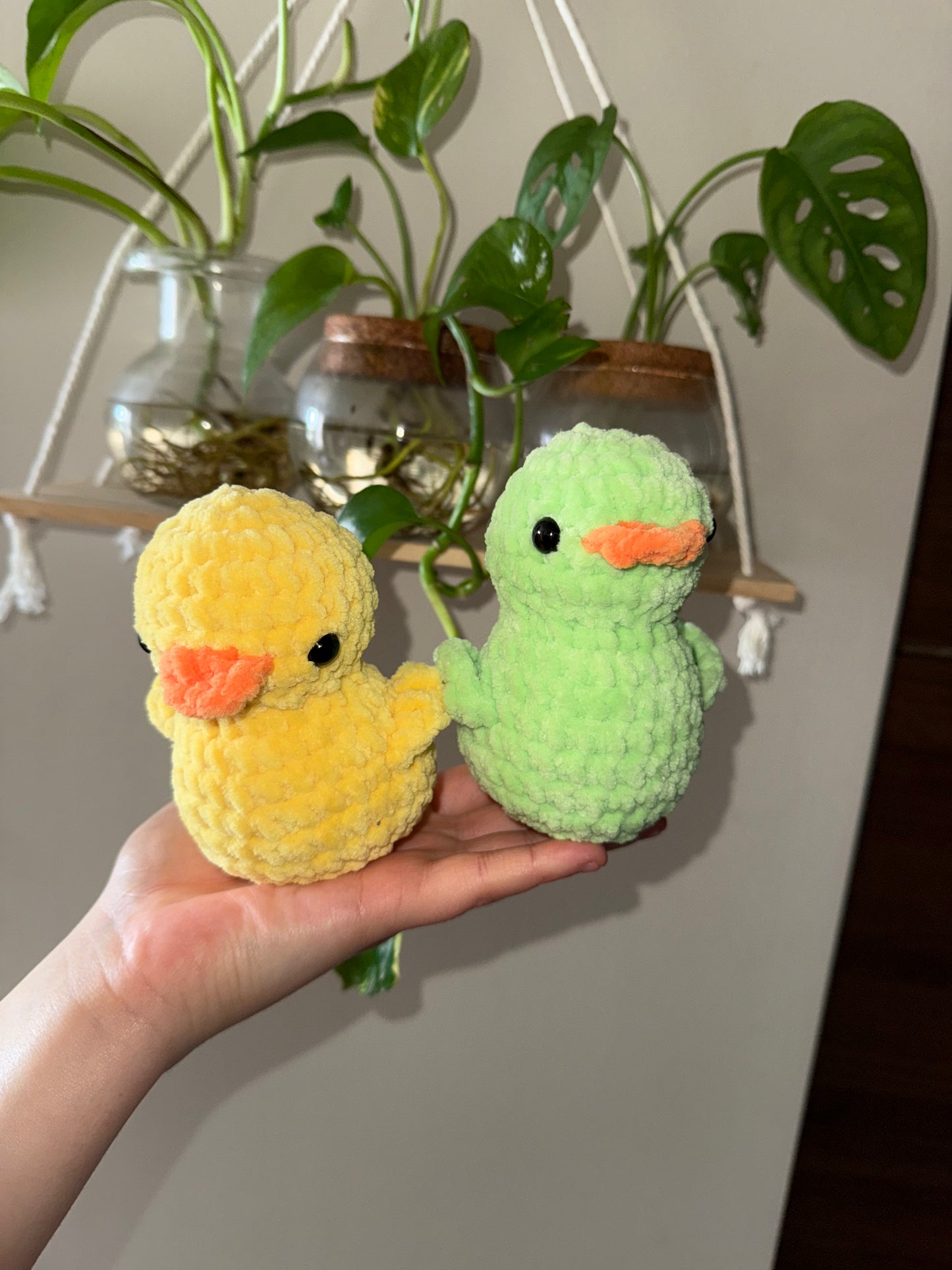 Duckies