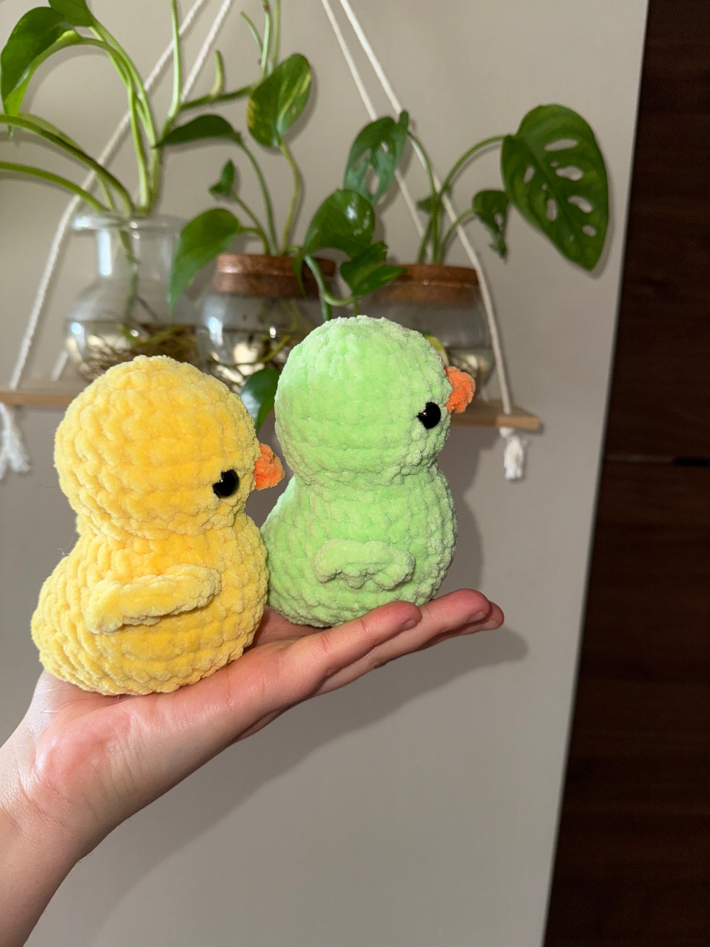 Duckies