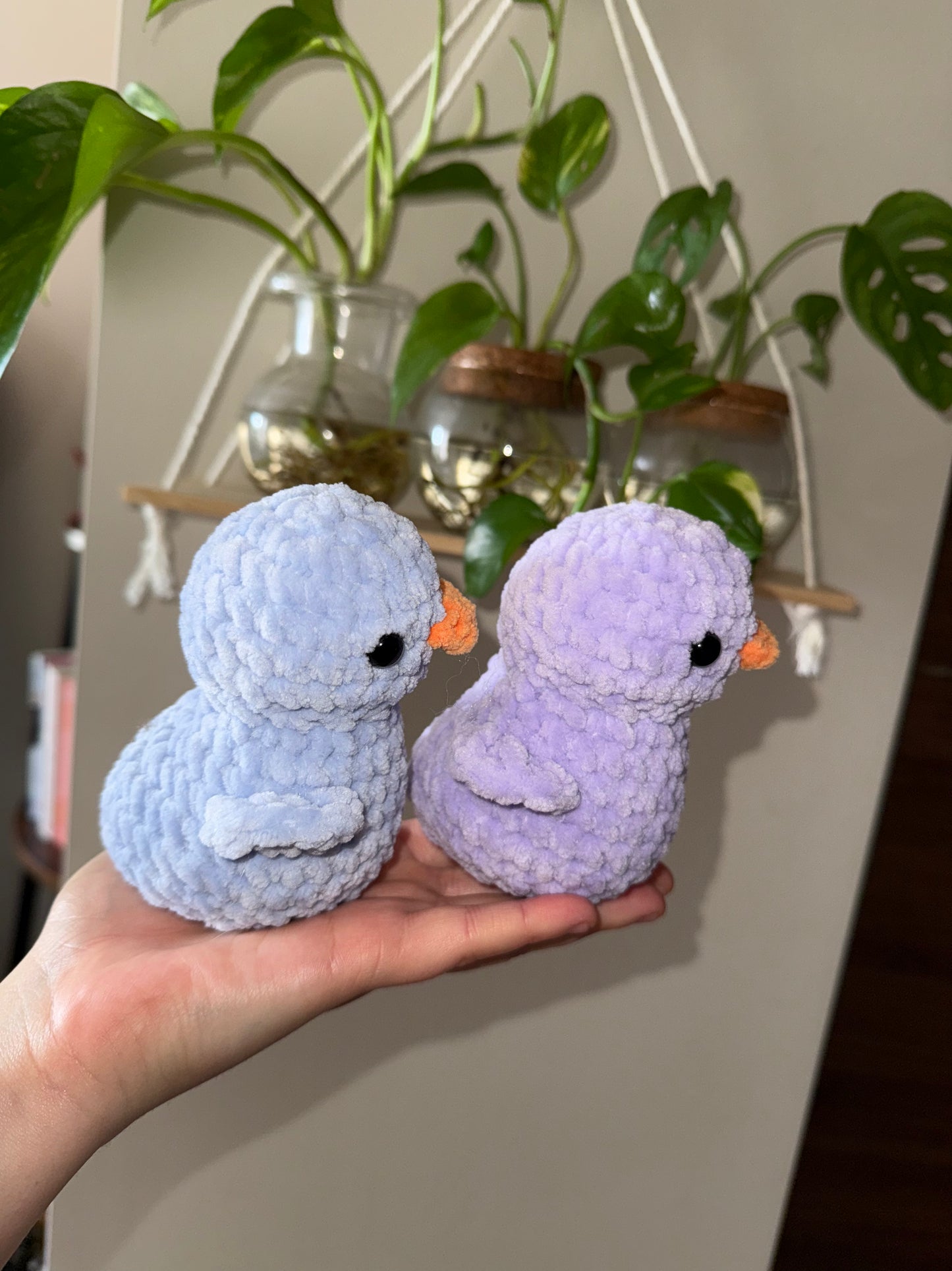 Duckies