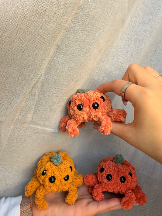 Mini Pumpkin Spider