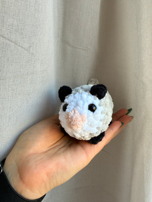 Opossum