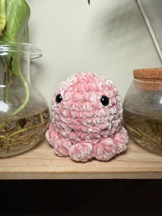 Octo